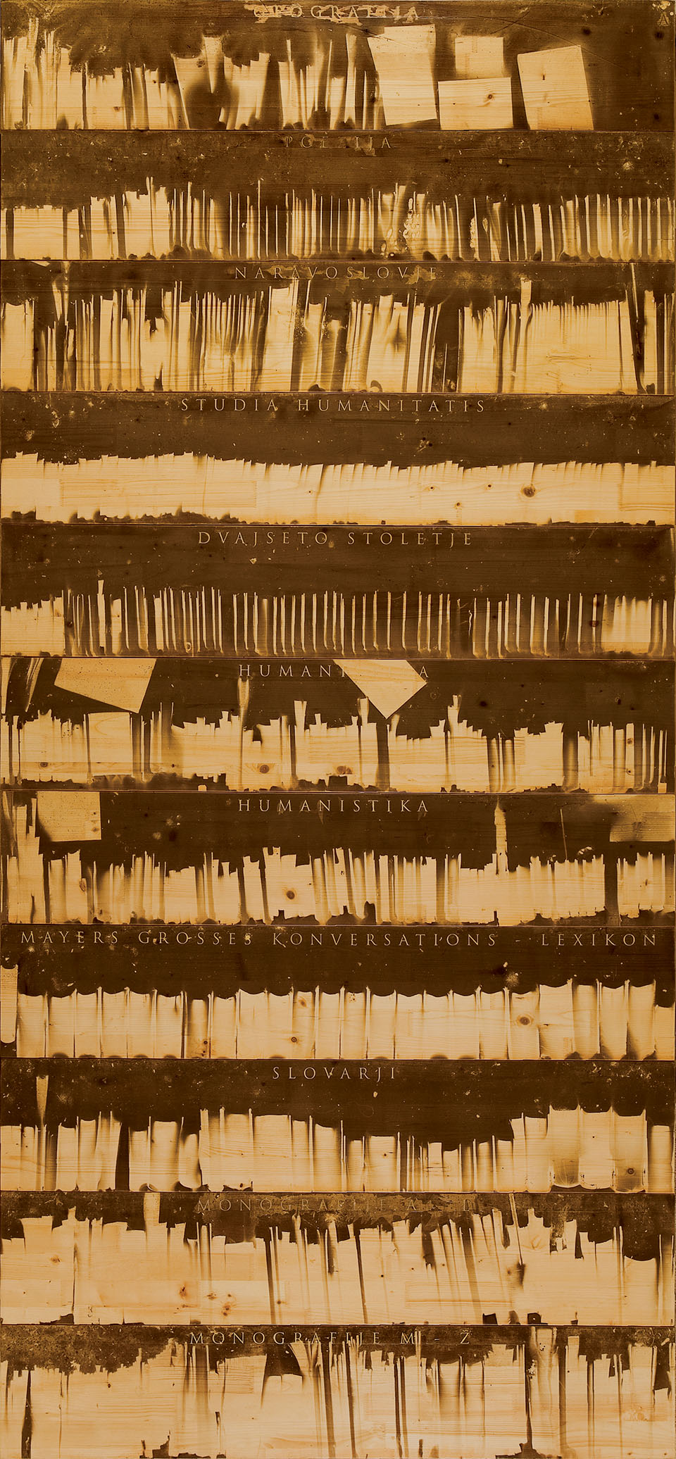 14. december I, les, saje, lak, 330x152 cm, 2007