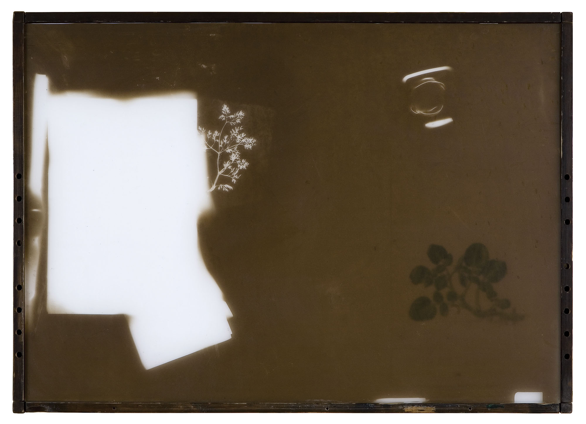 14. december III, les, saje, lak, 89,5x125x5,5 cm, 2007