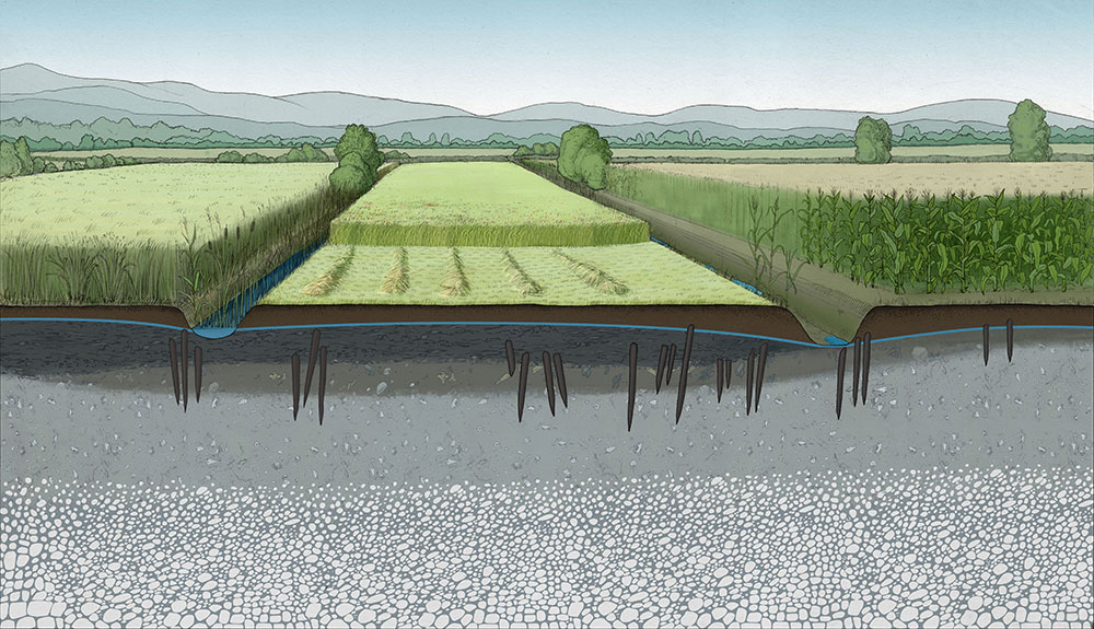 Ekosistemske-storitve-1-5x