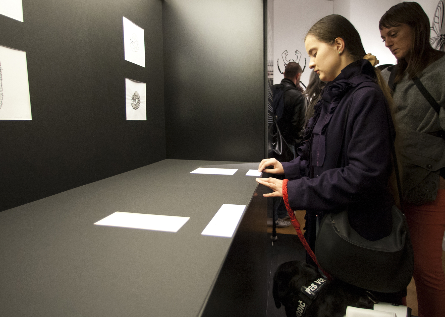 2012_razstava-v-MGML-foto-Matevz-Paternoster-4