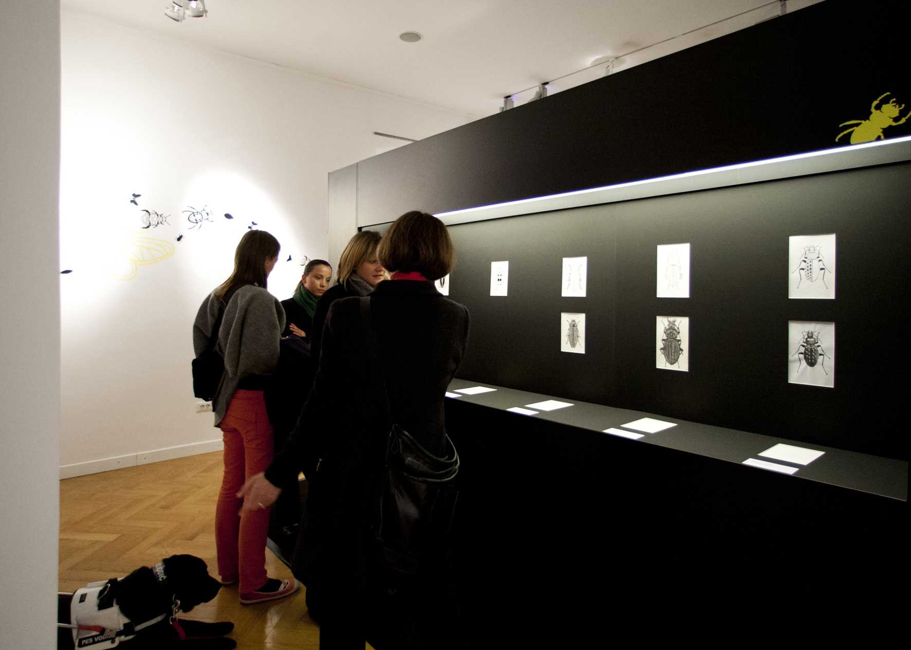 2012_razstava-v-MGML-foto-Matevz-Paternoster-5