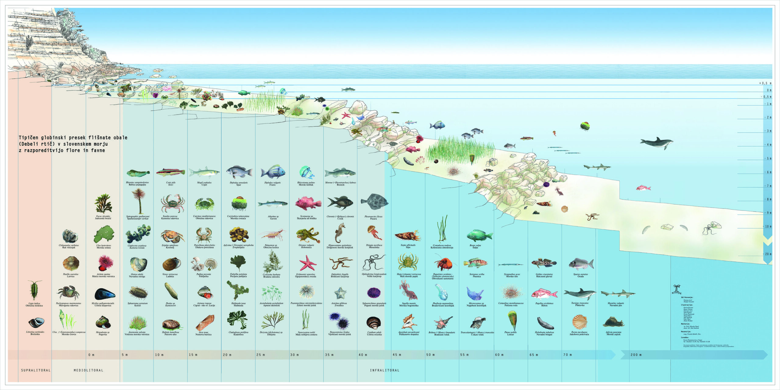 Prerez-obale-tisk_20x40cm-1