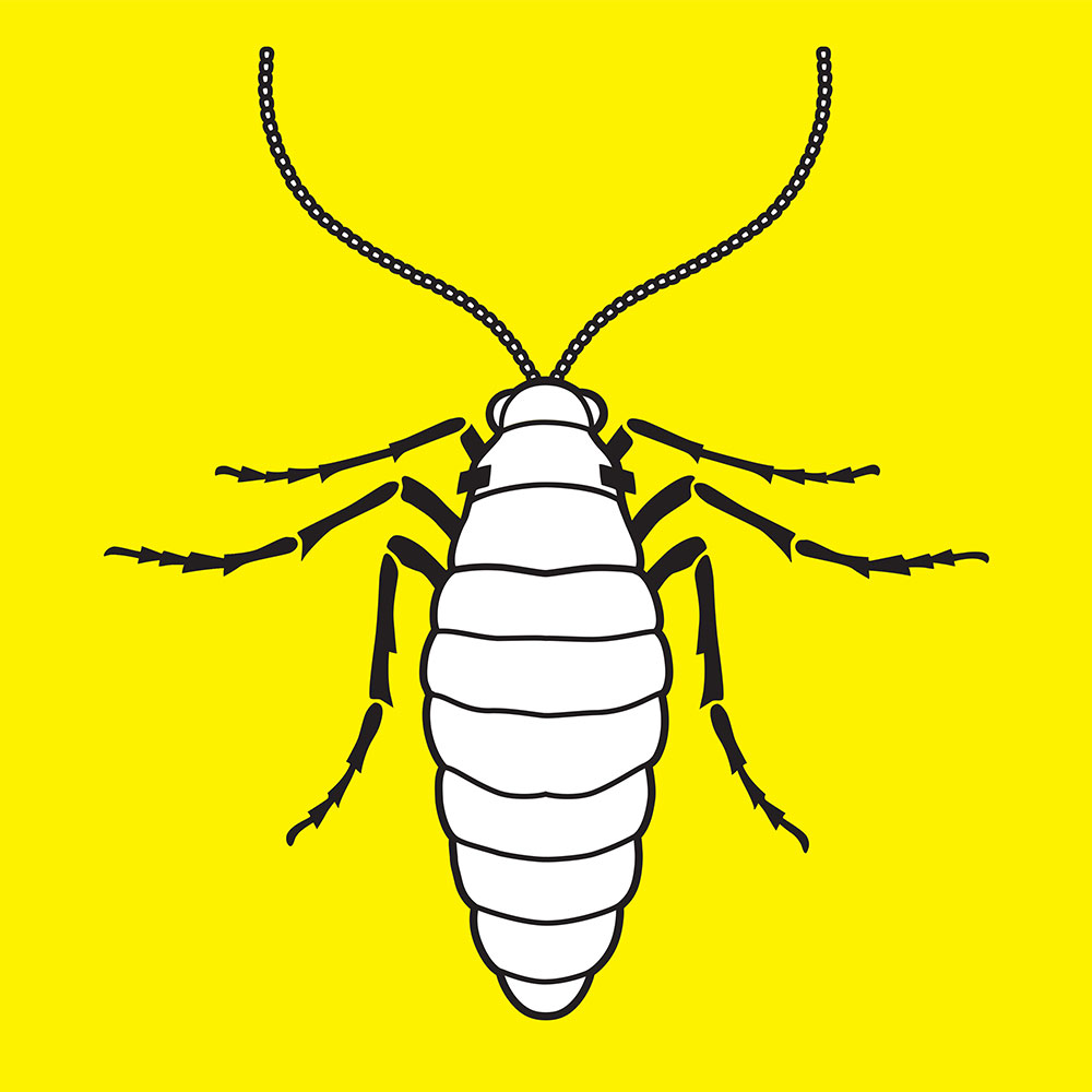 Delavnica Kaverljag 016